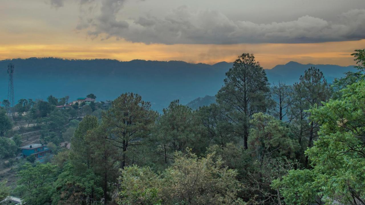 Hill View Apartments Kasauli Exteriér fotografie